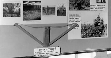 1969_Dept_Agriculture_Duplex_Trellis